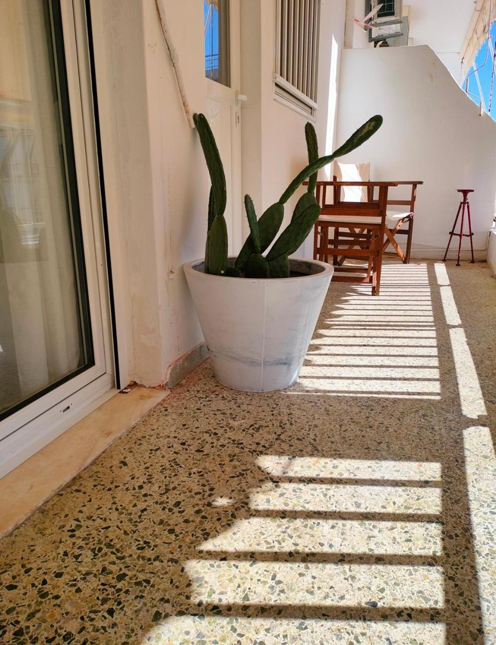 Apartment Pelagia